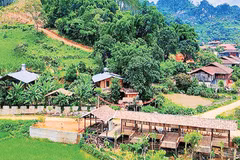 À Huu Liên, la transition vers le tourisme ne repose pas sur de grands complexes hôteliers, mais sur l'initiative individuelle des ménages. Photo: laodong