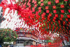 Une rue de Hanoï parée de rouge avec les drapeaux nationaux à l'approche de la Fête nationale. Photo: VNA