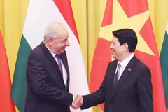 Le président Luong Cuong (droite) et le président hongrois Sulyok Tamás. Photo. VNA