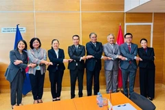 Des représentants des huit pays de l'ASEAN ayant des missions diplomatiques à Vienne. Photo: VNA