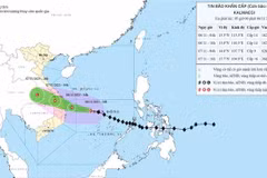 Selon le Centre national de prévision hydrométéorologique, le typhon Kalmaegi, la 13e tempête à se former en Mer Orientale cette année, continue de maintenir son intensité et sa trajectoire vers l’ouest-nord-ouest, tout en se rapprochant rapidement des côtes du Centre du Vietnam. Photo: VNA