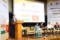 L’ambassadeur Nguyên Thanh Hai s'exprime lors de l'atelier. Photo: VNA