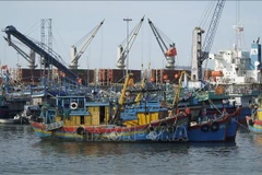 Des navires de pêche au port de Quang Ngai. Photo: VNA