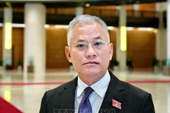 Le vice-président de la Commission de la défense, de la sécurité et des affaires extérieures de l’Assemblée nationale Dôn Tuân Phong. Photo: VNA
