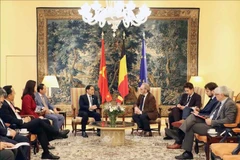 Le vice-Premier ministre vietnamien, Bui Thanh Son (gauche), et le président de la Chambre des représentants de Belgique, Peter De Roover. Photo: VNA