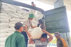 Le riz d’aide humanitaire est acheminé vers les localités gravement touchées par les inondations. Photo: VNA