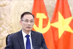 Le ministre vietnamien des Affaires étrangères, Le Hoai Trung. Photo: VNA