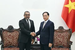 Le vice-Premier ministre Bui Thanh Son (droite) et le ministre maldivien des Affaires étrangères Abdulla Khaleel. Photo: VNA