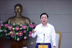 Le vice-Premier ministre Trân Hông Ha s'exprime lors de la réunion. Photo: VNA