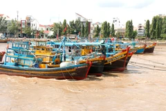 Lâm Dông intensifie la régularisation de sa flotte de pêche. Photo: VNA