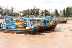 Lâm Dông intensifie la régularisation de sa flotte de pêche. Photo: VNA