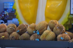 Les durians vietnamiens gagnent en popularité en Chine. Photo: VNA