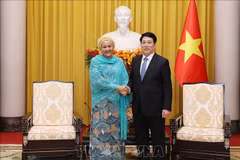 Le président Luong Cuong reçoit la secrétaire générale adjointe de l'ONU, Amina Mohammed. Photo: VNA