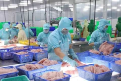Transformation de poissons pour l'exportation. Photo: VNA