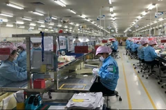 Une entreprise à participation étrangère dans le parc industriel de Quang Châu, province de Bac Giang. Photo: baobacgiang.vn