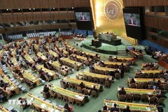 Une session de l'ONU sur les droits de l'homme. Photo: VNA