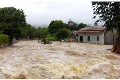 La circulation résiduelle du typhon Wipha a provoqué de très fortes pluies dans les zones montagneuses de l’ouest de la province de Nghe An. Photo: VNA