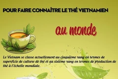 Pour faire connaître le thé vietnamien