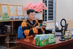 Lang Son: des jeunes de l'ethnie Dao développent l’économie locale grâce aux produits emblématiques de la montagne de Mâu Son