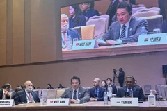 L'ambassadeur Pham Hai Anh, chef du Département des organisations internationales du ministère des Affaires étrangères, s'exprime lors de la réunion. Photo: VNA