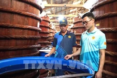 Nguyên Huynh Anh Khoa, 34 ans, directeur de la société Huynh Khoa. Photo: VNA