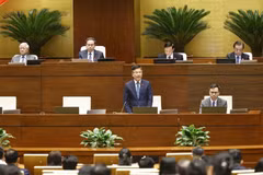 Le vice-Premier ministre Lê Thanh Long s'exprime lors d'une séance de la 10e session de la 15e Assemblée nationale. Photo: VNA