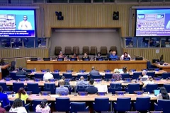 La 18e session de la Conférence des États parties à la Convention relative aux droits des personnes handicapées à New York. Photo: VNA