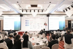 8e Sommet vietnamien sur l'éolien terrestre et offshore et le stockage d'énergie (Vietnam Onshore Offshore Wind and Energy Storage Summit - VOOWESS). Photo: thethaovanhoa.vn