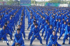 Démonstration massive et spectaculaire du Vovinam à Hô Chi Minh-Ville. Photo: VNA