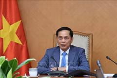 Le vice-Premier mnistre Bui Thanh Son. Photo: VNA