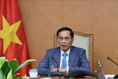 Le vice-Premier mnistre Bui Thanh Son. Photo: VNA