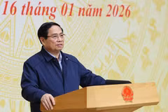 Le Premier ministre Pham Minh Chinh s'exprime lors de la conférence. Photo: VNA