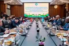 Séance de travail entre le ministre de l'Agriculture et du Développement rural, Lê Minh Hoan, et une délégation de haut niveau de l'Organisation des Nations Unies pour l'alimentation et l'agriculture (FAO), conduite par son directeur général Qu Dongyu. Photo: ministère de l'Agriculture et du Développement rural