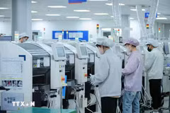 Les entreprises européennes optimistes quant au potentiel de croissance à long terme du Vietnam. Photo: VNA
