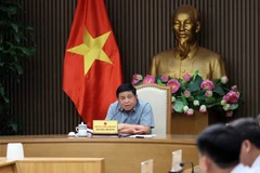 Le vice-Premier ministre Nguyên Chi Dung s'exprime lors de la réunion. Photo: VNA