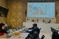 Réunion hybride du Comité des règles d’origine de l’OMC. Photo: VNA