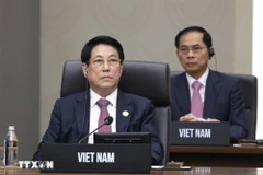Le président de la République Luong Cuong. Photo: VNA