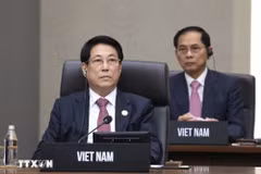 Le président de la République Luong Cuong. Photo: VNA