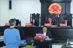 Le procès de première instance contre Truong Huy San. Photo: VNA