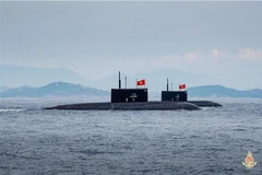 Des forces armées navales prêts pour le défilé maritime. Photo: VNA