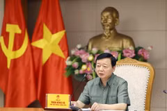 Le vice-Premier ministre Trân Hông Ha s'exprime lors de la réunion. Photo: VNA