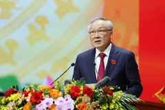Nguyên Hoa Binh, membre du Bureau politique, secrétaire adjoint permanent du Comité du Parti du gouvernement et vice-Premier ministre permanent, présente un résumé du projet de rapport politique. Photo: VNA