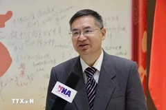 Le professeur Cheng Hanping, directeur exécutif de l'Institut d'études régionales et nationales et directeur du Centre de recherche sur le Vietnam de l'Université d'industrie du Zhejiang (Chine). Photo: VNA