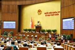 La 15e AN adopte la résolution modifiant et complétant plusieurs articles de la Constitution. Photo: VNA