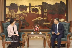 La présidente de la Banque asiatique d’investissement pour les infrastructures (AIIB), Zou Jiayi, et le vice-Premier ministre permanent Pham Gia Tuc. Photo: VNA