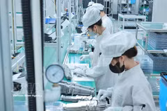 Production de la société Bumjim Electronics Vina Co., Ltd., à capitaux 100 % sud-coréens, dans la province de Quang Ninh. Photo: VNA