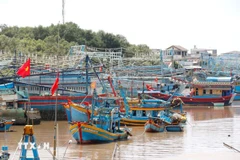 Gestion stricte des bateaux de pêche. Photo: VNA