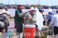 La province de Ninh Binh renforce sa lutte contre la pêche INN. Photo: VNA