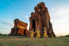 Les tours Banh It, témoignages de la beauté de l'ancienne architecture du Champa (9/9)