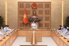 Le vice-Premier ministre Hô Duc Phoc s'exprime lors de la réunion